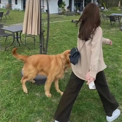 苦里姻缘