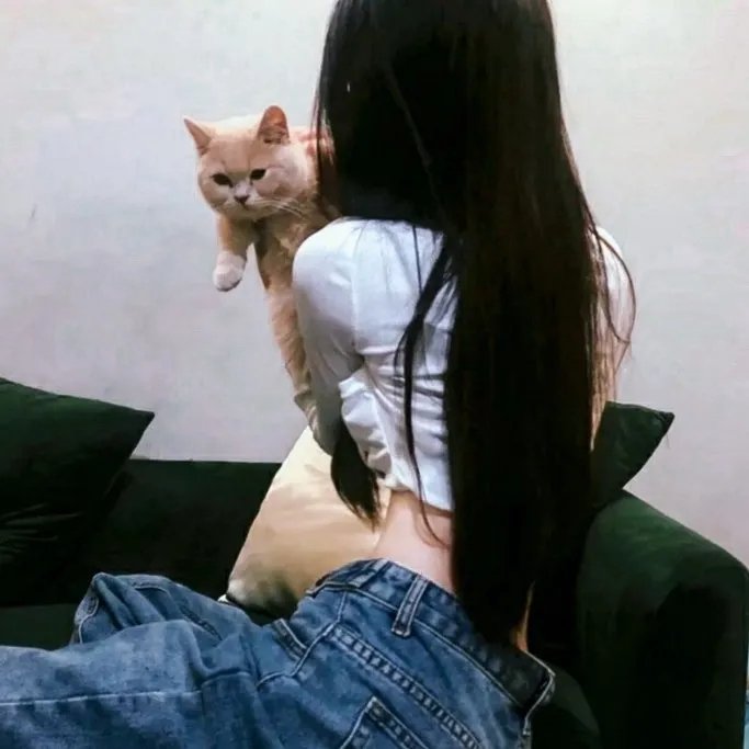 消失的女友